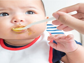 Kit de primeros alimentos del bebé